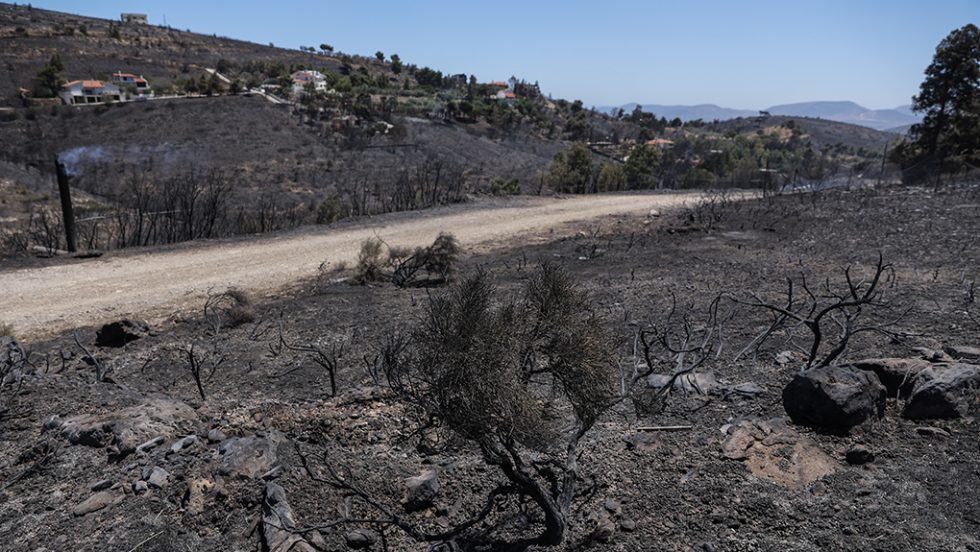 Το μεγάλο στοίχημα μπροστά σε άλλο ένα απειλητικό καλοκαίρι